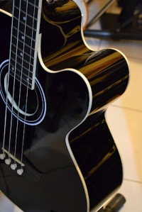 Tanglewood Acoustic Bass Custom JASA CUSTOM GITAR DAN BASS CANA GITAR CUSTOM KAYU IMPORT KANADA (23)